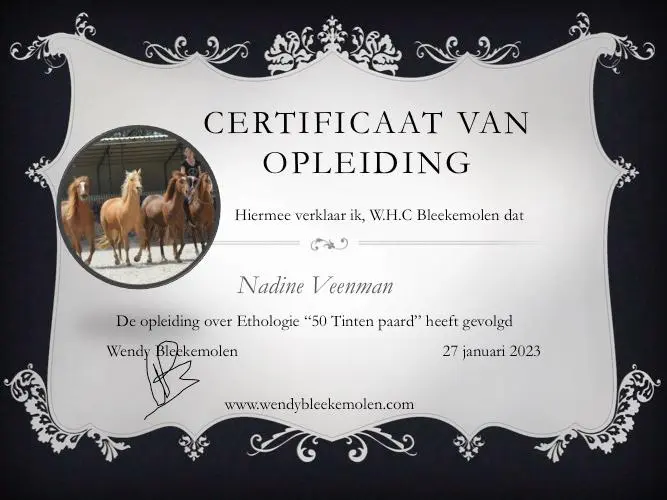 Certificaat Wendy Bleekemolen Natural Horsemanship